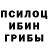 Галлюциногенные грибы Magic Shrooms EXPLAINER v2