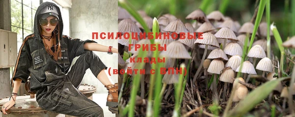 ECSTASY Абинск