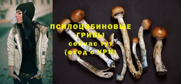 ECSTASY Абинск
